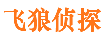 凌河市私家侦探公司